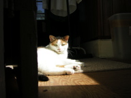 DSCN0978