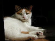 DSCN0979