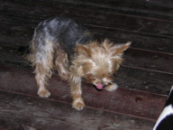 DSCN0987