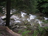DSCN0548.JPG
