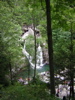 DSCN0550.JPG