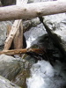 DSCN0573.JPG