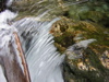 DSCN0574.JPG