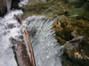 DSCN0575.JPG