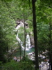 DSCN0551.JPG