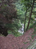 DSCN0585.JPG