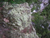 DSCN0586.JPG