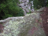 DSCN0590.JPG