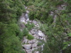 DSCN0591.JPG