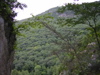 DSCN0595.JPG