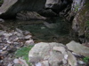 DSCN0600.JPG