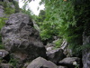 DSCN0603.JPG
