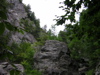 DSCN0604.JPG