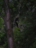 DSCN0605.JPG