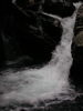 DSCN0607.JPG