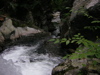 DSCN0611.JPG