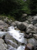 DSCN0554.JPG