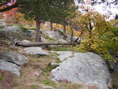 DSCN1036