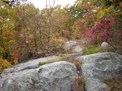 DSCN1041