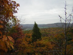 DSCN1042