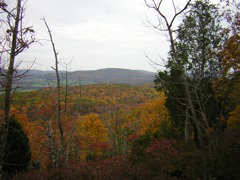 DSCN1045