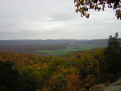 DSCN1046