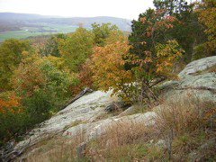 DSCN1055