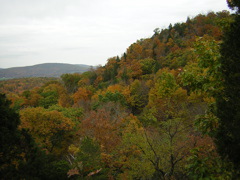 DSCN1039