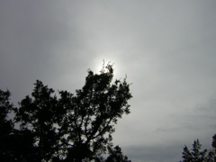 DSCN1062