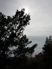 DSCN1063