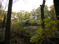 DSCN1066