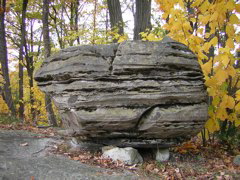 DSCN1067