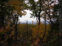 DSCN1074