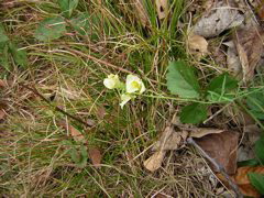 DSCN1078
