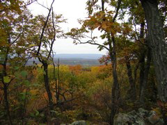 DSCN1083
