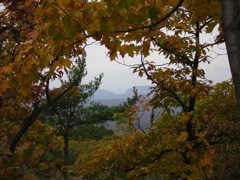 DSCN1085