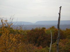DSCN1087