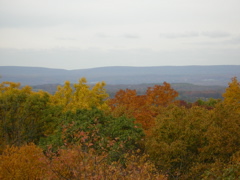 DSCN1088