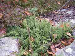 DSCN1092