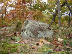 DSCN1099