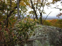 DSCN1102