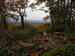 DSCN1103