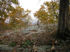 DSCN1107