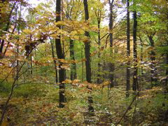 DSCN1109