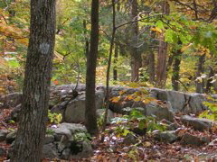DSCN1112