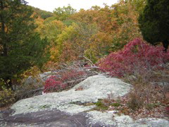 DSCN1032