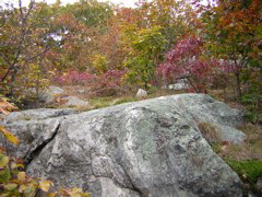 DSCN1033
