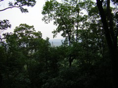 DSCN0290.JPG