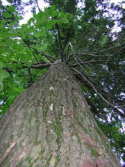 DSCN0321.JPG
