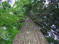 DSCN0322.JPG